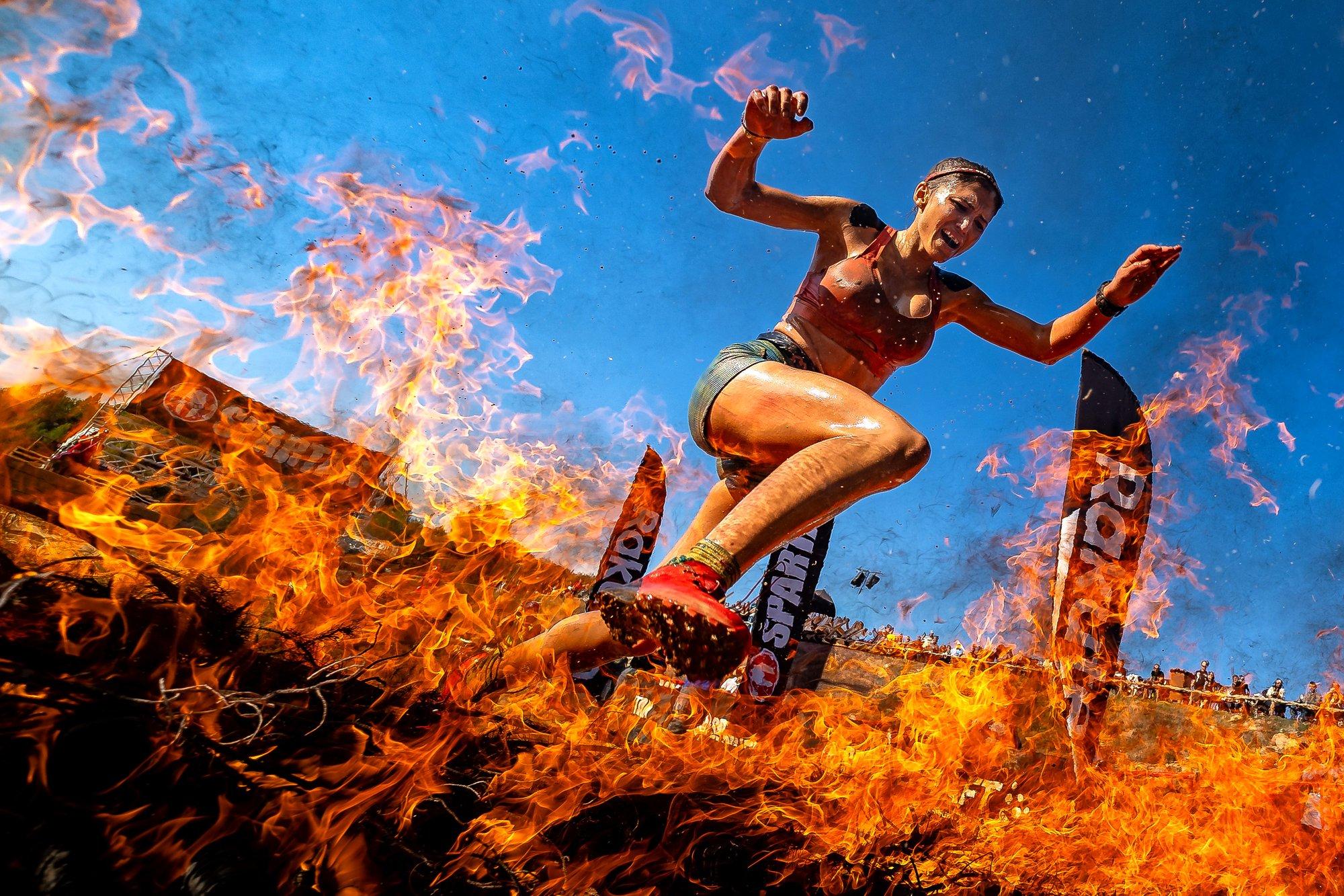 Ave Fenix by Aitor Simon